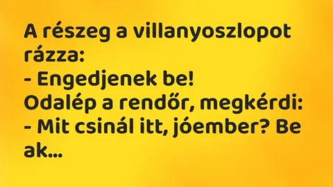 Vicc: A részeg a villanyoszlopot rázza:

– Engedjenek be!

Odalép a…