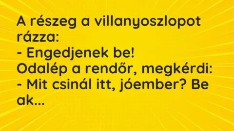 Vicc: A részeg a villanyoszlopot rázza:

– Engedjenek be!

Odalép a rendőr,…
