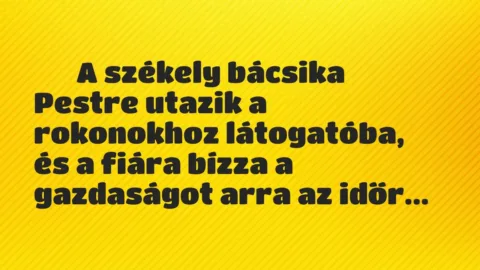 Vicc: 
	    	    A székely bácsika Pestre utazik a rokonokhoz látogatóba, és…