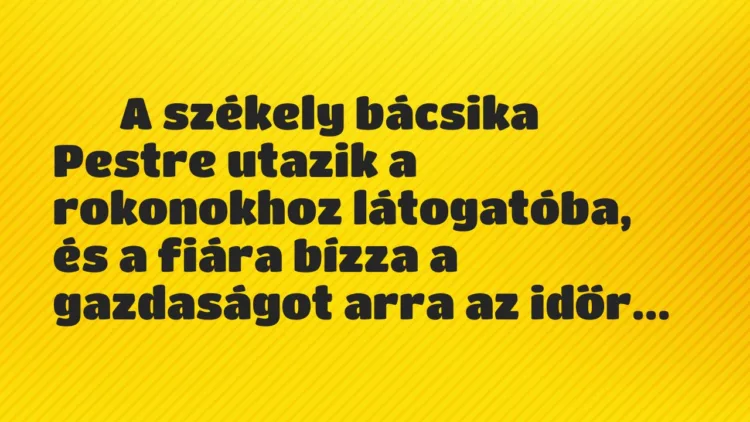 Vicc:
A székely bácsika Pestre utazik a rokonokhoz látogatóba, és… Vicc:
A székely bácsika Pestre utazik a rokonokhoz látogatóba, és…