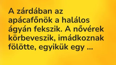 Vicc: A zárdában az apácafőnök a halálos ágyán fekszik. A nővérek körbeveszik,…
