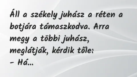 Vicc: Áll a székely juhász a réten a botjára támaszkodva. Arra megy a többi…