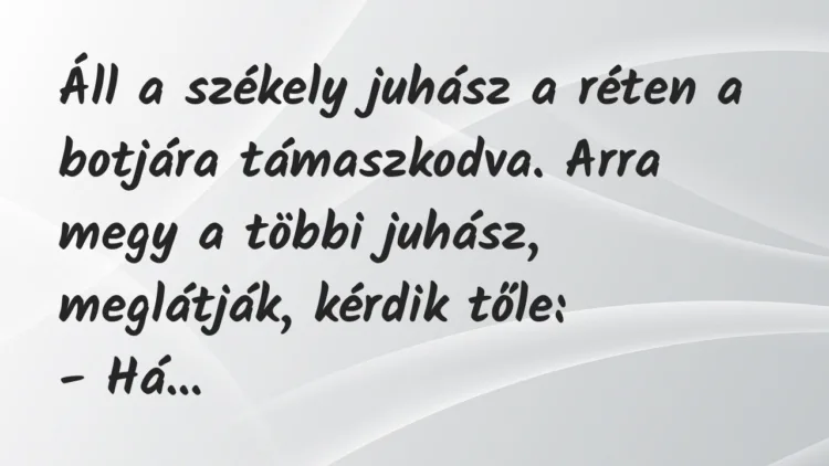 Vicc: Áll a székely juhász a réten a botjára támaszkodva. Arra megy a többi… Vicc: Áll a székely juhász a réten a botjára támaszkodva. Arra megy a többi…