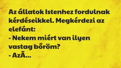 Vicc: Az állatok Istenhez fordulnak kérdéseikkel. Megkérdezi az elefánt:

– Nekem…