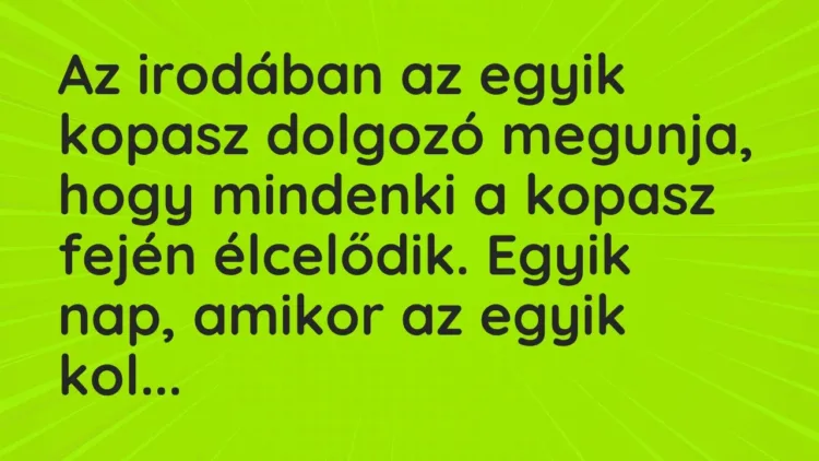 Vicc: Az irodában az egyik kopasz dolgozó megunja, hogy mindenki a kopasz… Vicc: Az irodában az egyik kopasz dolgozó megunja, hogy mindenki a kopasz…