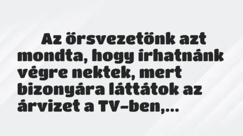 Vicc: 
	    	    Az őrsvezetőnk azt mondta, hogy írhatnánk végre nektek, mert…