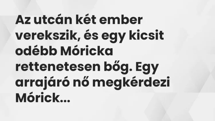 Vicc: Az utcán két ember verekszik, és egy kicsit odébb Móricka rettenetesen bőg. Egy… Vicc: Az utcán két ember verekszik, és egy kicsit odébb Móricka rettenetesen bőg. Egy…