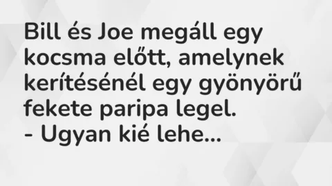 Vicc: Bill és Joe megáll egy kocsma előtt, amelynek kerítésénél egy gyönyörű… Vicc: Bill és Joe megáll egy kocsma előtt, amelynek kerítésénél egy gyönyörű…
