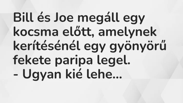 Vicc: Bill és Joe megáll egy kocsma előtt, amelynek kerítésénél egy gyönyörű… Vicc: Bill és Joe megáll egy kocsma előtt, amelynek kerítésénél egy gyönyörű…