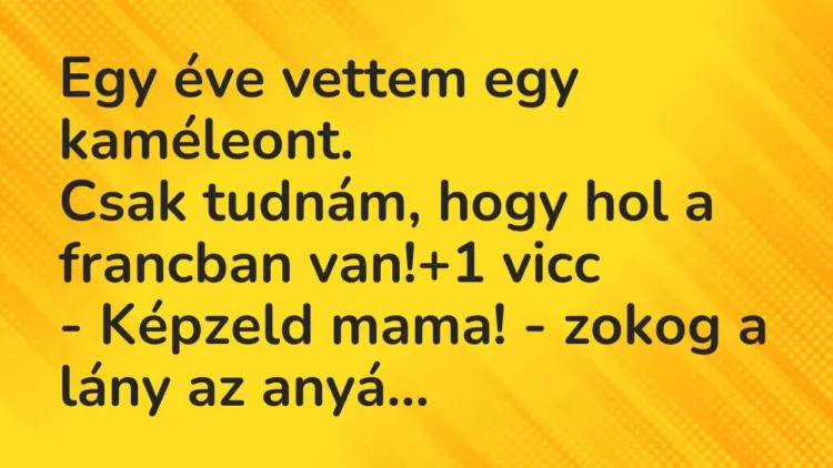 Vicc: Egy éve vettem egy kaméleont.
Csak tudnám, hogy hol a francban… Vicc: Egy éve vettem egy kaméleont.
Csak tudnám, hogy hol a francban…