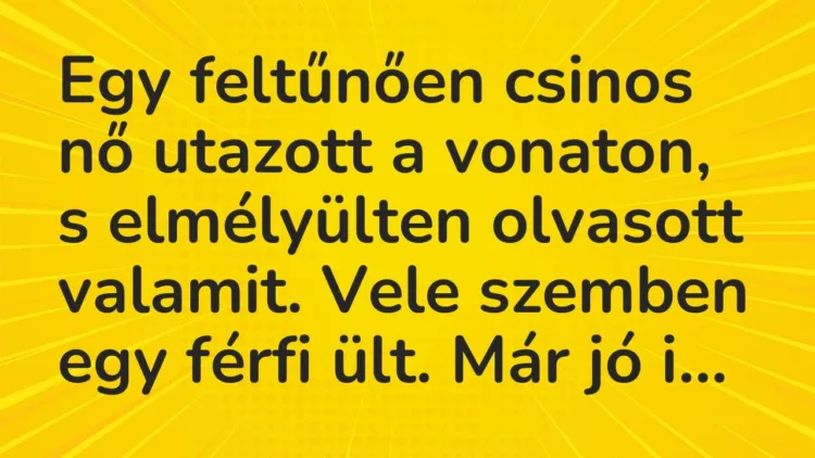 Vicc: Egy feltűnően csinos nő utazott a vonaton, s elmélyülten olvasott… Vicc: Egy feltűnően csinos nő utazott a vonaton, s elmélyülten olvasott…