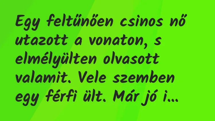 Vicc: Egy feltűnően csinos nő utazott a vonaton, s elmélyülten olvasott… Vicc: Egy feltűnően csinos nő utazott a vonaton, s elmélyülten olvasott…