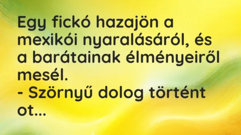 Vicc: Egy fickó hazajön a mexikói nyaralásáról, és a barátainak élményeiről…