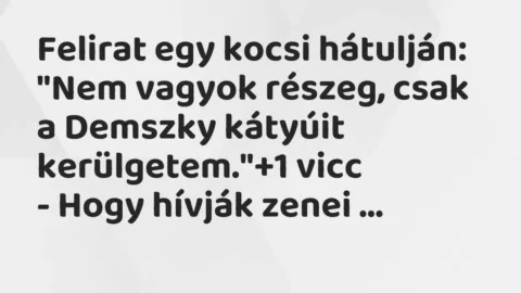 Vicc: Felirat egy kocsi hátulján:

„Nem vagyok részeg, csak a Demszky kátyúit…