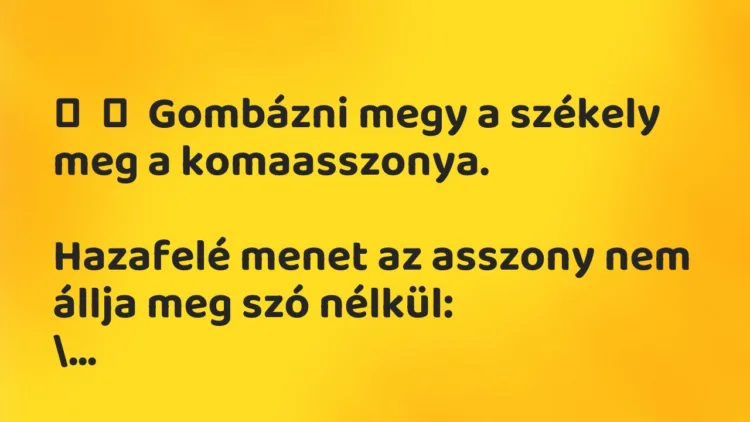 Vicc: Gombázni megy a székely meg a komaasszonya. Hazafelé menet az …