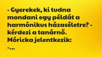 Vicc: – Gyerekek, ki tudna mondani egy példát a harmónikus házaséletre? – kérdezi a…