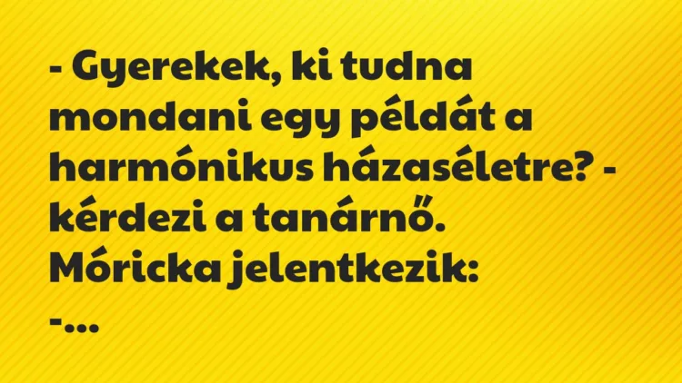 Vicc: – Gyerekek, ki tudna mondani egy példát a harmónikus házaséletre? – kérdezi a…