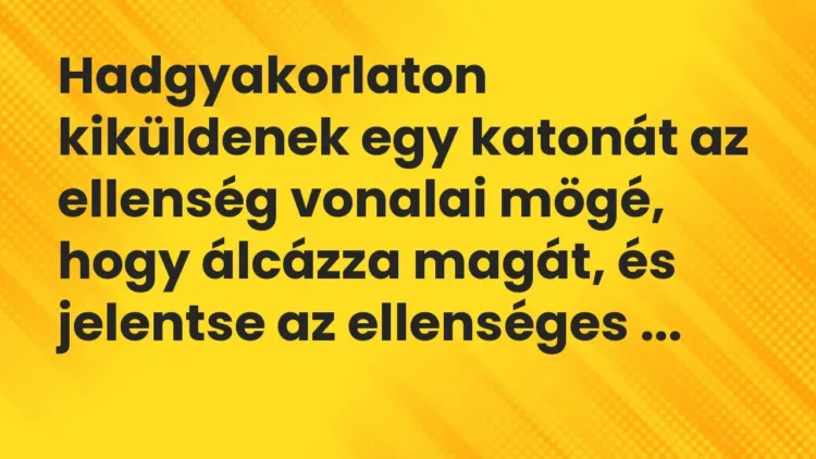 Vicc: Hadgyakorlaton kiküldenek egy katonát az ellenség vonalai mögé, hogy álcázza… Vicc: Hadgyakorlaton kiküldenek egy katonát az ellenség vonalai mögé, hogy álcázza…