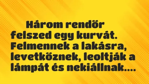 Vicc: 
	    	    Három rendőr felszed egy kurvát. Felmennek a lakásra, levetkőznek,…