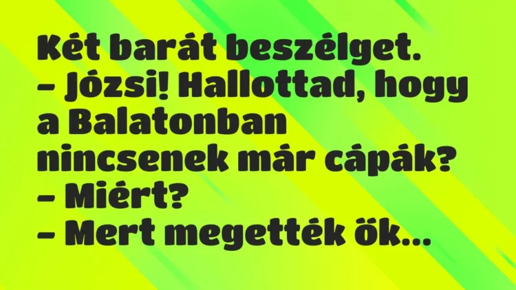 Vicc: Két barát beszélget.
– Józsi! Hallottad, hogy a Balatonban nincsenek már… Vicc: Két barát beszélget.
– Józsi! Hallottad, hogy a Balatonban nincsenek már…