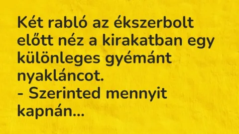 Vicc: Két rabló az ékszerbolt előtt néz a kirakatban egy különleges gyémánt…
