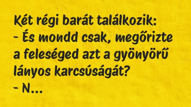 Vicc: Két régi barát találkozik:
– És mondd csak, megőrizte a feleséged… Vicc: Két régi barát találkozik:
– És mondd csak, megőrizte a feleséged…