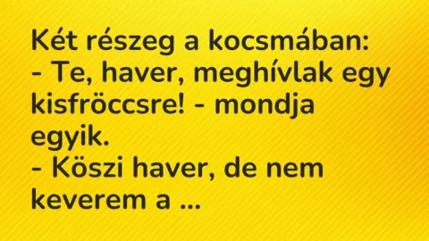 Vicc: Két részeg a kocsmában:
– Te, haver, meghívlak egy kisfröccsre! -… Vicc: Két részeg a kocsmában:
– Te, haver, meghívlak egy kisfröccsre! -…