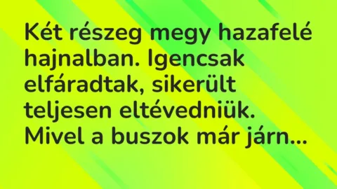 Vicc: Két részeg megy hazafelé hajnalban. Igencsak elfáradtak, sikerült teljesen…