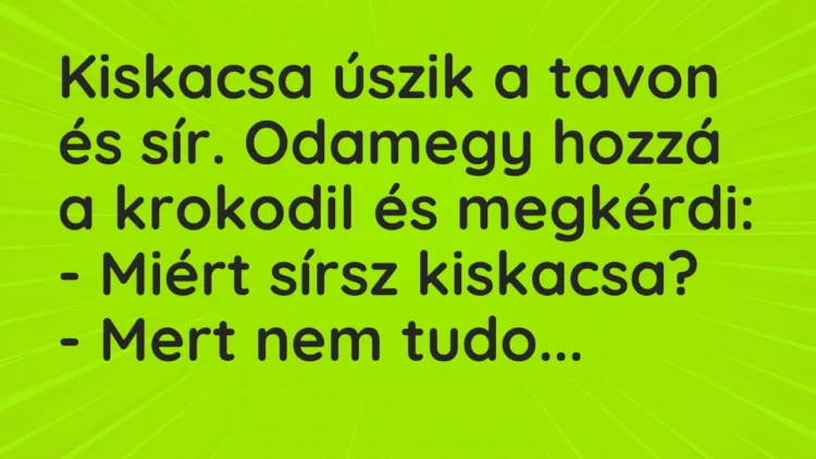 Vicc: Kiskacsa úszik a tavon és sír. Odamegy hozzá a krokodil és megkérdi:… Vicc: Kiskacsa úszik a tavon és sír. Odamegy hozzá a krokodil és megkérdi:…