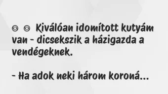 Vicc: 
	    	    Kiválóan idomított kutyám van – dicsekszik a házigazda a…