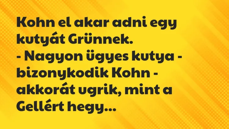 Vicc: Kohn el akar adni egy kutyát Grünnek. – Nagyon ügyes kutya – bizonykodik…
