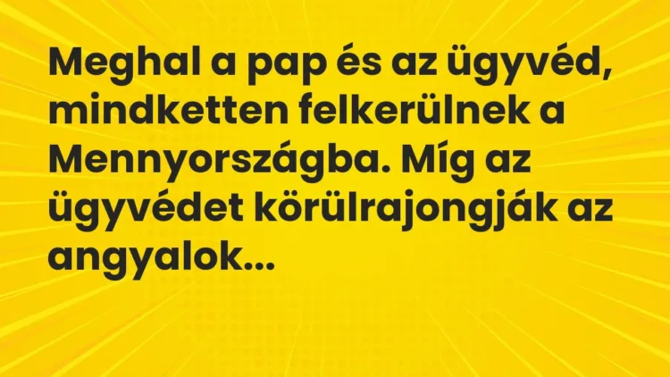 Vicc: Meghal a pap és az ügyvéd, mindketten felkerülnek a Mennyországba. Míg az… Vicc: Meghal a pap és az ügyvéd, mindketten felkerülnek a Mennyországba. Míg az…