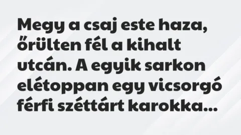 Vicc: Megy a csaj este haza, őrülten fél a kihalt utcán. A egyik sarkon… Vicc: Megy a csaj este haza, őrülten fél a kihalt utcán. A egyik sarkon…