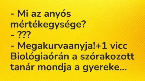 Vicc: – Mi az anyós mértékegysége?

– ???

– Megakurvaanyja!