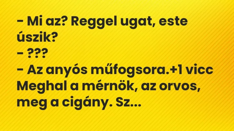 Vicc: – Mi az? Reggel ugat, este úszik?
– ???
– Az anyós műfogsora. Vicc: – Mi az? Reggel ugat, este úszik?
– ???
– Az anyós műfogsora.