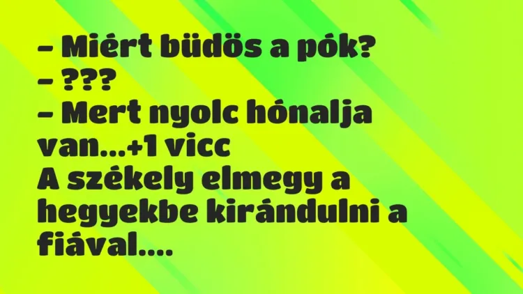 Vicc: – Miért büdös a pók?
– ???
– Mert nyolc hónalja van… Vicc: – Miért büdös a pók?
– ???
– Mert nyolc hónalja van…