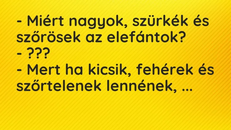 Vicc: – Miért nagyok, szürkék és szőrösek az elefántok?
– ???
-… Vicc: – Miért nagyok, szürkék és szőrösek az elefántok?
– ???
-…