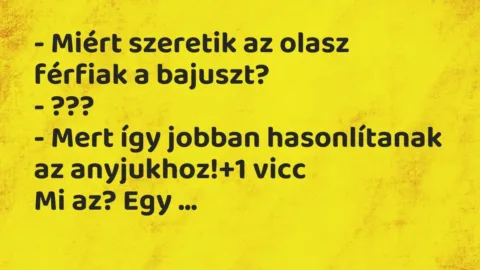 Vicc: – Miért szeretik az olasz férfiak a bajuszt?
– ???
– Mert így jobban… Vicc: – Miért szeretik az olasz férfiak a bajuszt?
– ???
– Mert így jobban…