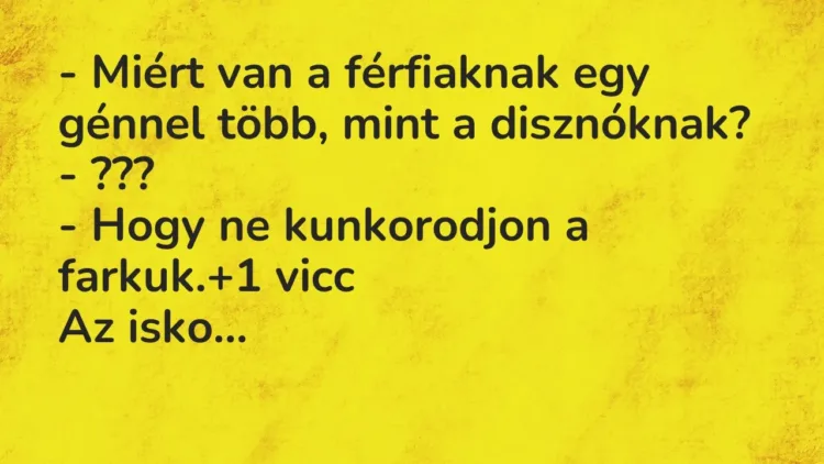 Vicc: – Miért van a férfiaknak egy génnel több, mint a disznóknak?
– ???
-… Vicc: – Miért van a férfiaknak egy génnel több, mint a disznóknak?
– ???
-…