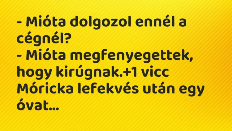 Vicc: – Mióta dolgozol ennél a cégnél?
– Mióta megfenyegettek, hogy… Vicc: – Mióta dolgozol ennél a cégnél?
– Mióta megfenyegettek, hogy…