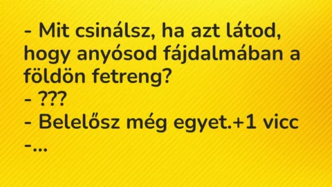 Vicc: – Mit csinálsz, ha azt látod, hogy anyósod fájdalmában a földön fetreng?
-… Vicc: – Mit csinálsz, ha azt látod, hogy anyósod fájdalmában a földön fetreng?
-…