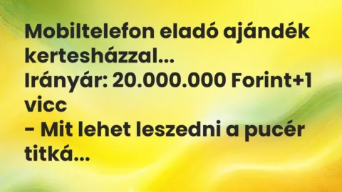 Vicc: Mobiltelefon eladó ajándék kertesházzal…

Irányár: 20.000.000…