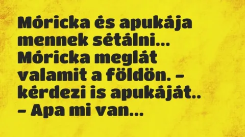 Vicc: Móricka és apukája mennek sétálni…

Móricka meglát valamit a földön. -…