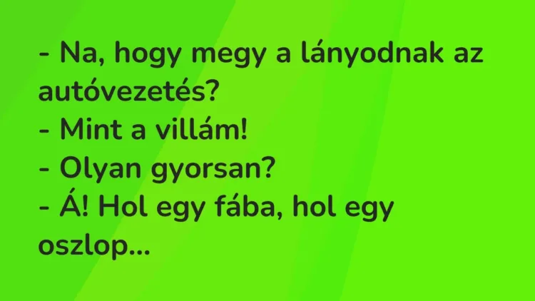 Vicc: – Na, hogy megy a lányodnak az autóvezetés?
– Mint a… Vicc: – Na, hogy megy a lányodnak az autóvezetés?
– Mint a…