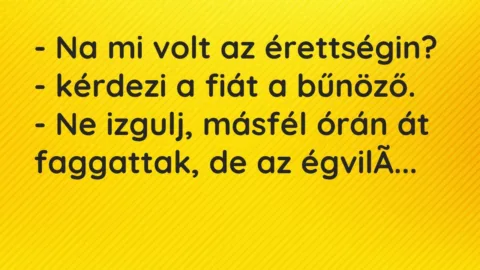 Vicc: – Na mi volt az érettségin? – kérdezi a fiát a bűnöző.

– Ne…