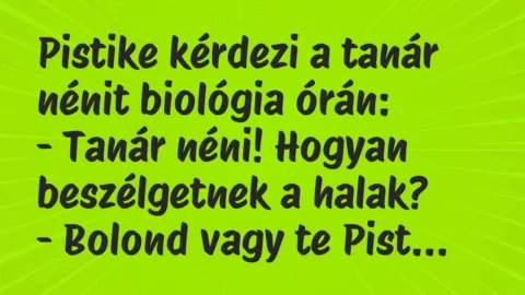 Vicc: Pistike kérdezi a tanár nénit biológia órán:

– Tanár néni! Hogyan…