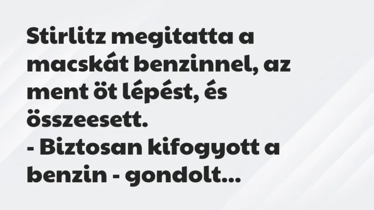Vicc: Stirlitz megitatta a macskát benzinnel, az ment öt lépést, és összeesett.
-… Vicc: Stirlitz megitatta a macskát benzinnel, az ment öt lépést, és összeesett.
-…