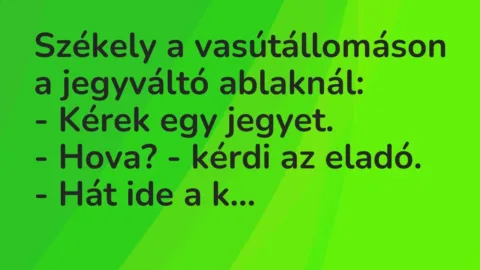 Vicc: Székely a vasútállomáson a jegyváltó ablaknál:

– Kérek egy…