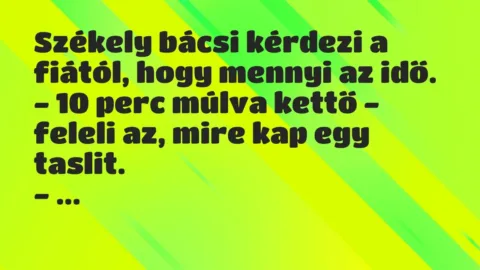 Vicc: Székely bácsi kérdezi a fiától, hogy mennyi az idő.

– 10 perc…