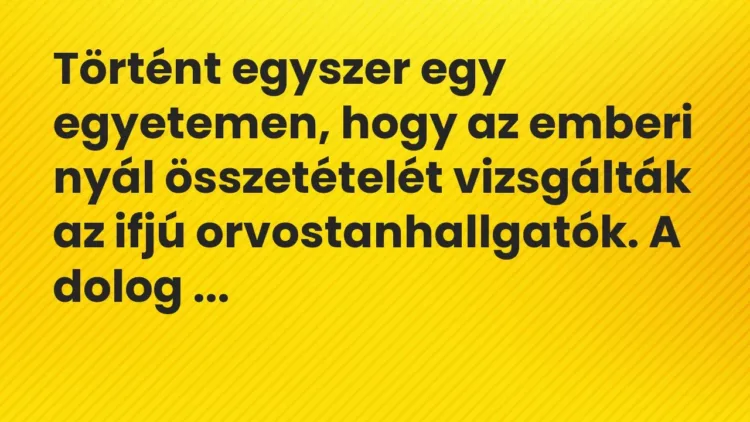 Vicc: Történt egyszer egy egyetemen, hogy az emberi nyál összetételét vizsgálták az… Vicc: Történt egyszer egy egyetemen, hogy az emberi nyál összetételét vizsgálták az…